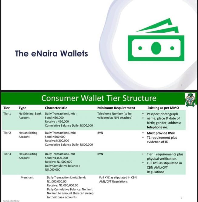 10 Things You Need To Know About the E-Naira